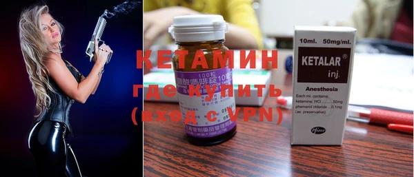 прущие грибы Новодвинск