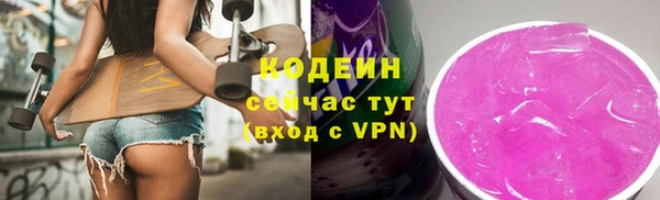 apvp Няндома