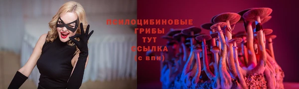 тгк Вуктыл
