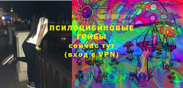 мяу мяу мука Новозыбков