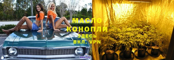 прущие грибы Новодвинск