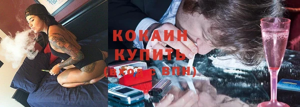 мяу мяу мука Новозыбков