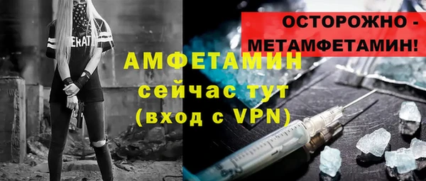 прущие грибы Новодвинск