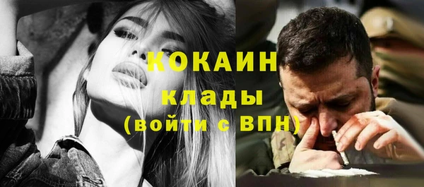 прущие грибы Новодвинск