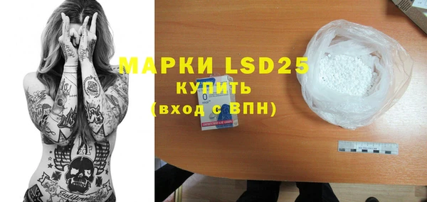 прущие грибы Новодвинск