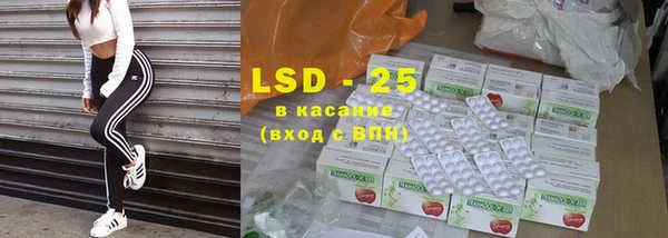 прущие грибы Новодвинск