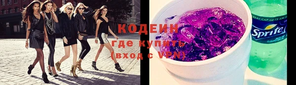 прущие грибы Новодвинск