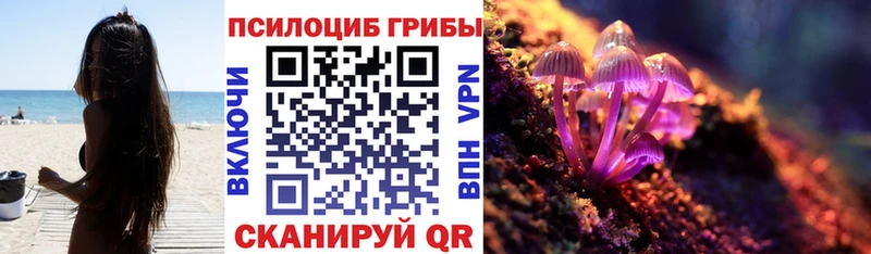 кракен tor  цены наркотик  Углегорск  Псилоцибиновые грибы мицелий 